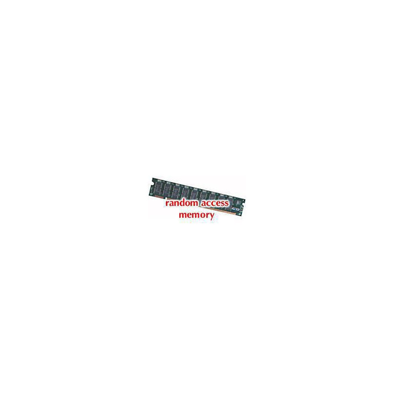 DDR1 266 Module RDIMM 2GB
