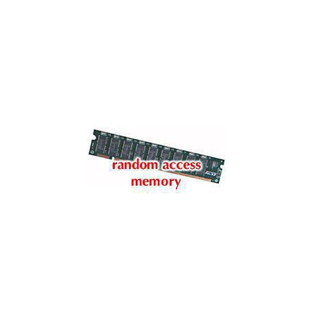 DDR1 266 Module RDIMM 2GB