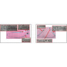 Mini SAS LFF cable kit for