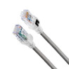 10GX RFID Patch Cord UTP LSZH