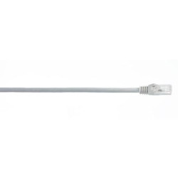 WireNet CAT6 Patch cord UTP