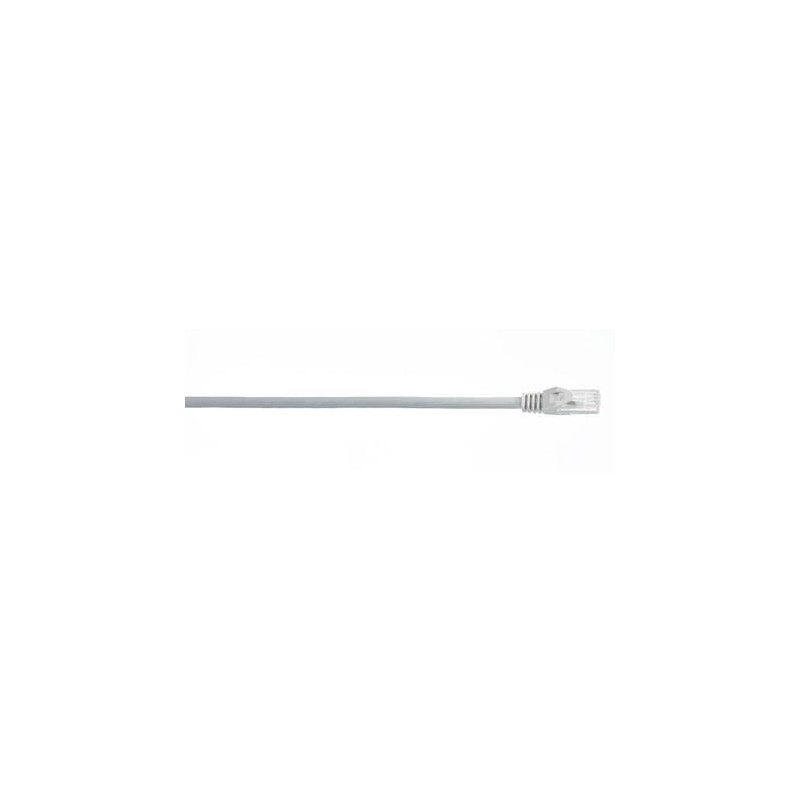WireNet CAT6 Patch cord UTP