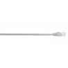 WireNet CAT6 Patch cord UTP