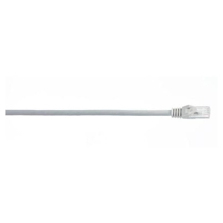 WireNet CAT6 Patch cord UTP
