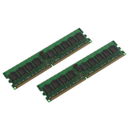 1GB Memory Module for IBM