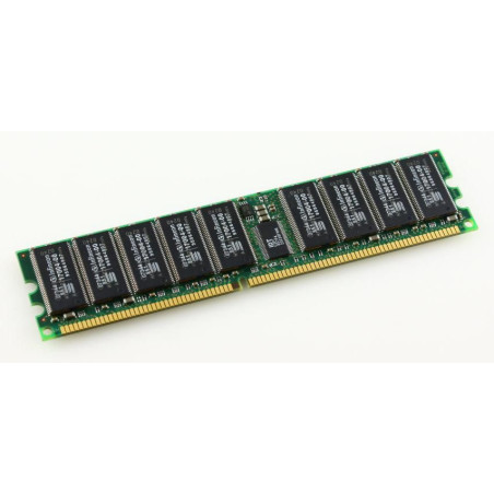 1GB Memory Module for IBM