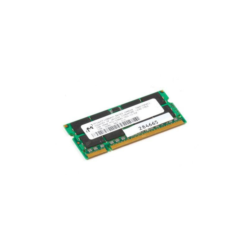1GB DDR2 SDRAM memory module,