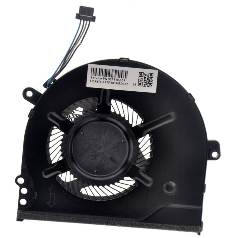 Fan