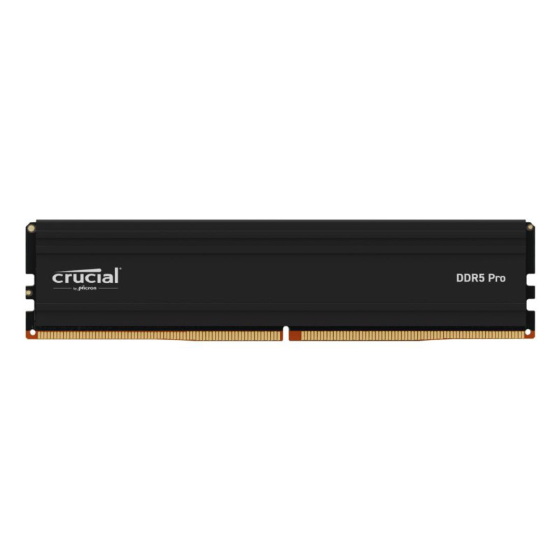 Pro Memory Module 48 Gb 1 X