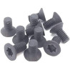 IP Force Torx screw black
