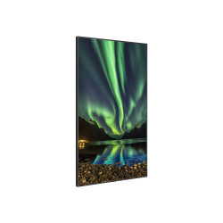 NEC MultiSync C981Q - 98" Clase diagonal pantalla LCD con retroilumina
