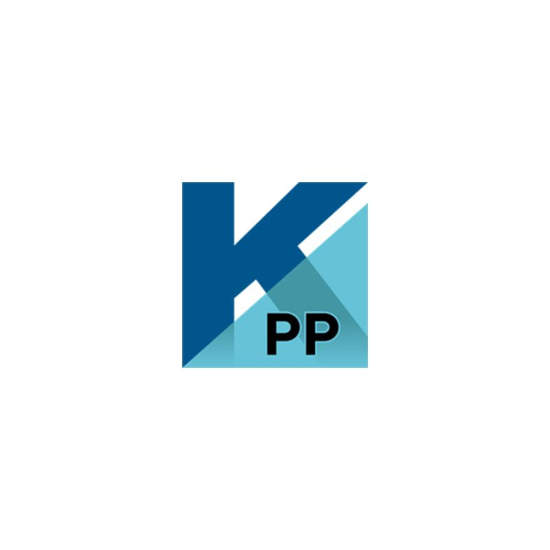 Tungsten PaperPort Standard - (v. 14) - licencia - 1 usuario - ESD - S