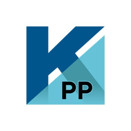 Tungsten PaperPort Professional - (v. 14) - licencia - 1 usuario - ESD