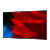 NEC MultiSync MA431 - 43" Clase diagonal MA Series pantalla LCD con re