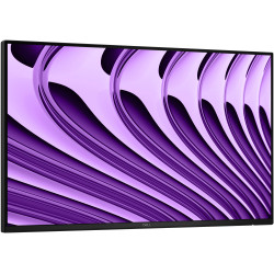 Dell Pro P 24 USB-C Hub Mon-P2426HE