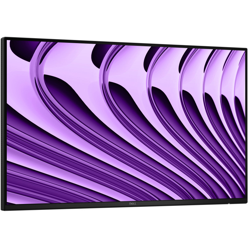 Dell Pro P 24 USB-C Hub Mon-P2426HE