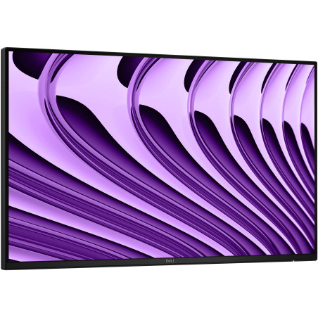 Dell Pro P 24 USB-C Hub Mon-P2426HE