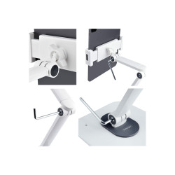 StarTech.com Soporte Ajustable para Tablet - Base Articulada para Tabl