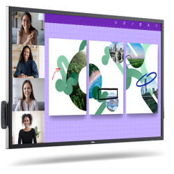 Dell P5524QT - 55" Clase diagonal (54.64" visible) pantalla LCD con re