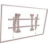 MTM Universal