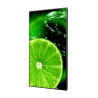 NEC MultiSync E868 - 86" Clase diagonal (85.6" visible) - E Series pan