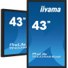 iiyama ProLite TF4339AS-B1AG - 43" Clase diagonal (42.5" vis | APLIUM