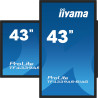 iiyama ProLite TF4339AS-B1AG - 43" Clase diagonal (42.5" vis | APLIUM