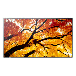 Sharp MultiSync PN-M502 - 50" Clase diagonal (49.5" visible) - PN-M Se