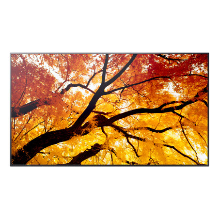 Sharp MultiSync PN-M502 - 50" Clase diagonal (49.5" visible) - PN-M Se