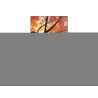 Sharp MultiSync PN-M502 - 50" Clase diagonal (49.5" visible) - PN-M Se