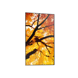 Sharp MultiSync PN-M502 - 50" Clase diagonal (49.5" visible) - PN-M Se
