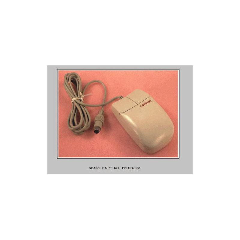 Two Button Mouse
