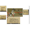 Slim SAS NVMe direct attach