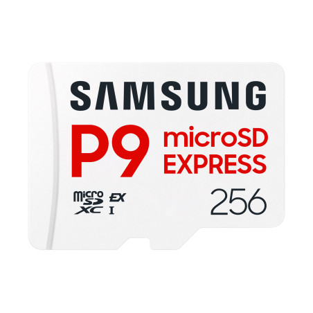 Samsung MicroSD 256GB P9 Express