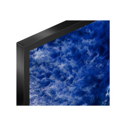 98" Pro BRAVIA LCD 780nit Haze w/3yr PS | APLIUM
