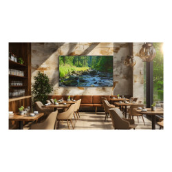 98" Pro BRAVIA LCD 780nit Haze w/3yr PS | APLIUM