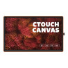 I3 TECHNOLOGIES 10052575 - CTOUCH Canvas - 75" Clase | APLIUM