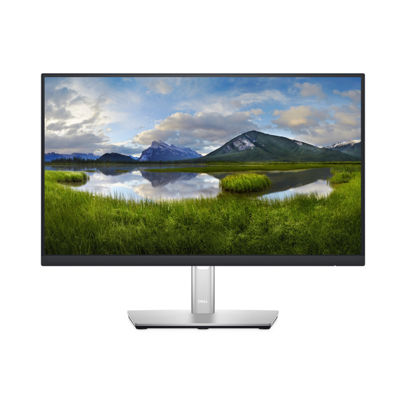CTO/Dell 22 Monitor P2222H 54.6cm 21.5''