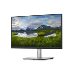 CTO/Dell 22 Monitor P2222H 54.6cm 21.5''