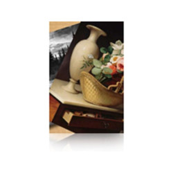 Epson Luster Photo Paper (260) - Brillo - rollo (152,4 cm x | APLIUM