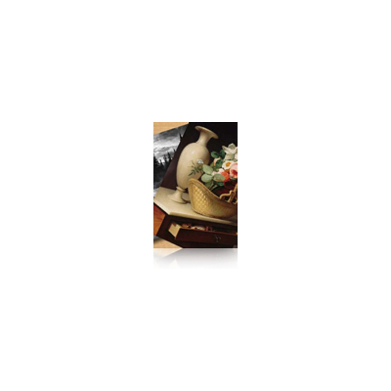 Epson Luster Photo Paper (260) - Brillo - rollo (152,4 cm x | APLIUM