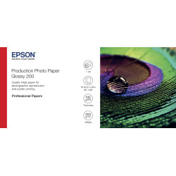 Epson Production - Polietileno - brillante - microporoso - 2 | APLIUM