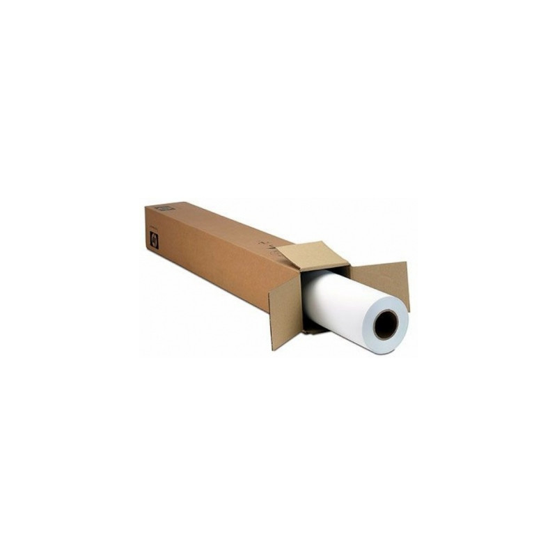 Epson Semigloss Photo Paper (170) - Semibrillante - rollo (1 | APLIUM