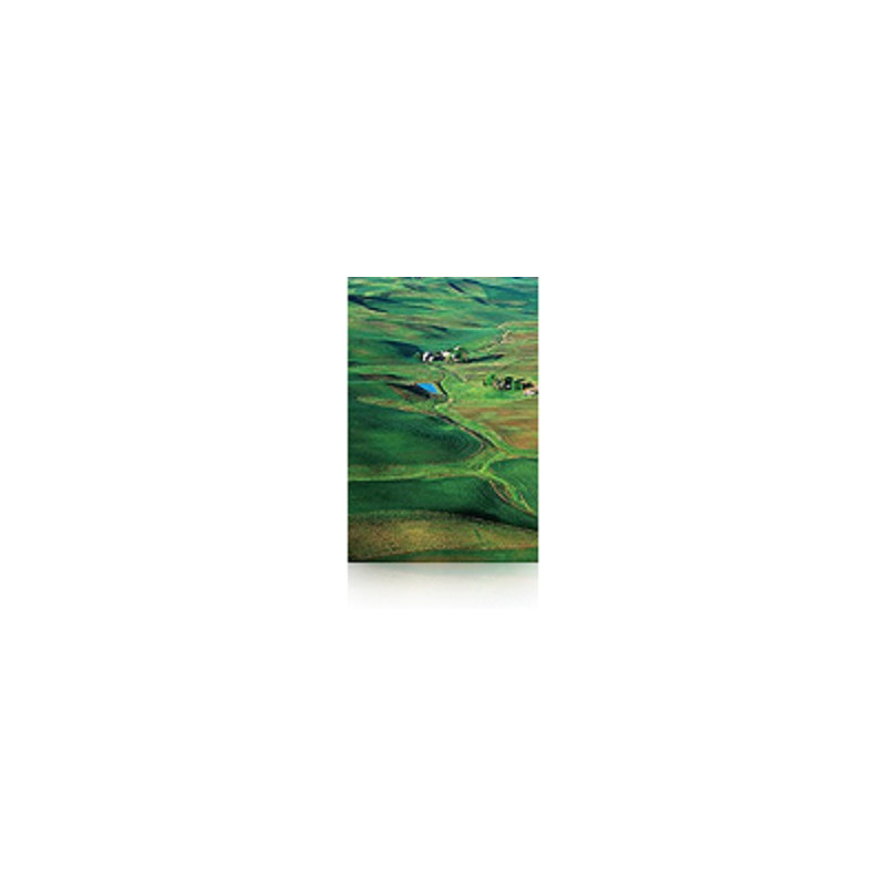 Epson Semigloss Photo Paper (250) - Semibrillante - rollo (1 | APLIUM