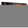 Aoc Monitor 24 IPS 300HZ 1920X1080 FHD 0.3MS 16:9 1000:1 | APLIUM