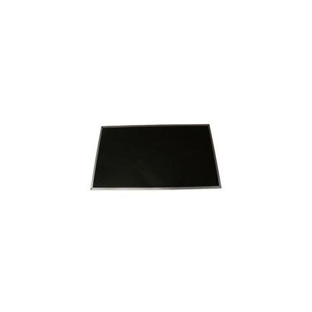 Display 15.6-Inch Non-Glare | APLIUM