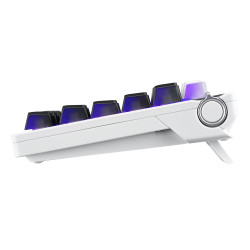 ASUS ROG Azoth X - Teclado - 75% - con pantalla OLED - retro | APLIUM