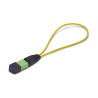 Single Mode MPO-12 Female Loopback Plug