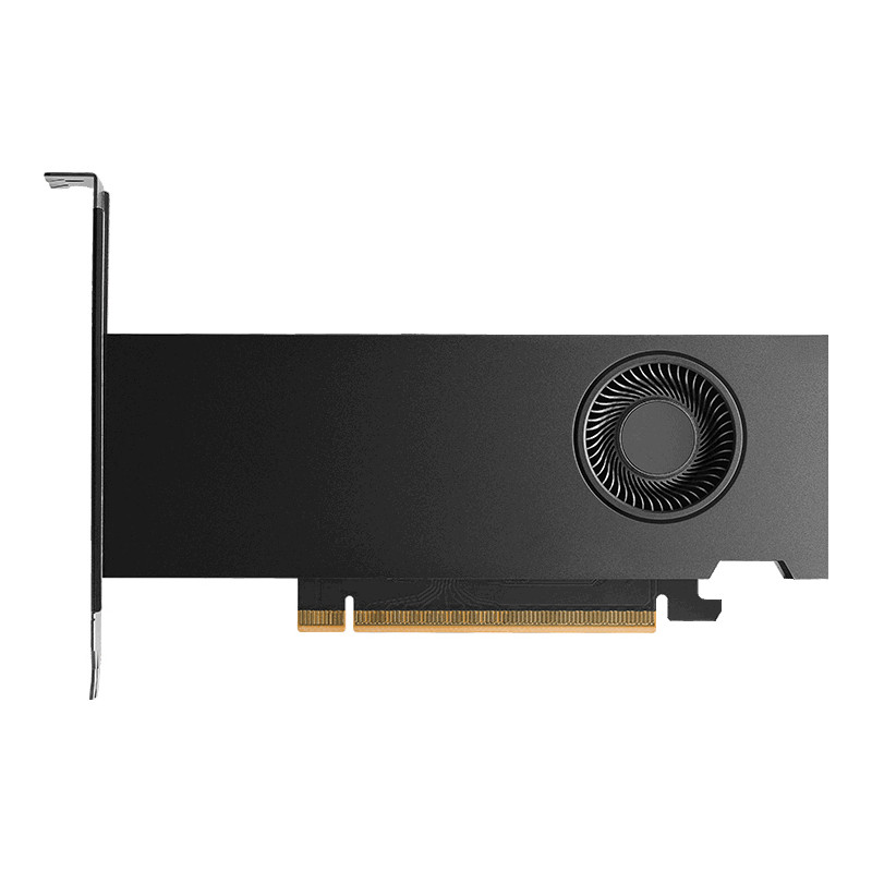 Dell NVIDIA RTX PRO 2000 Blackwell Workstation Edition 16 GB | APLIUM