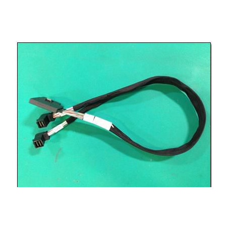 Mini-SAS Cable Node P830 P430